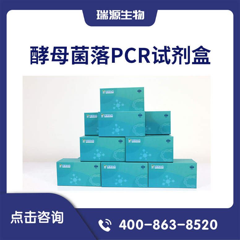 酵母菌落PCR试剂盒（快速扩增酵母阳性克隆试剂盒）