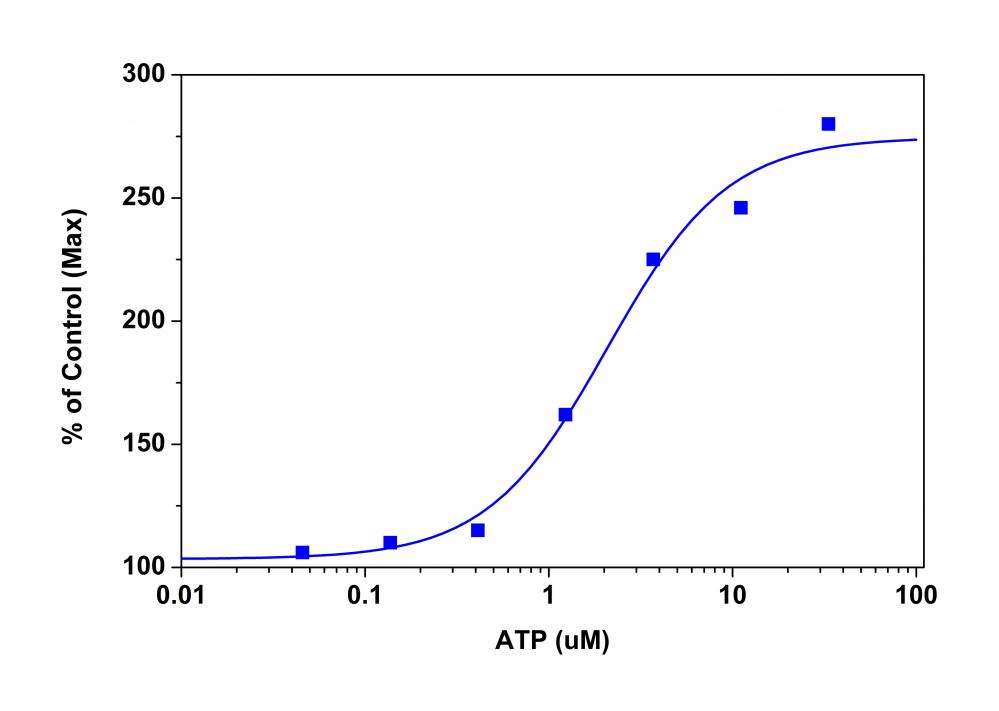 Amplite 荧光法碱性磷酸酶检测试剂盒 红色荧光