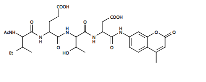 胱天蛋白酶Caspase 8荧光底物(Ac-IETD)2-R110 绿